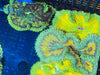 Ultra grade Mini Maxi Carpet Anemone 1-3”