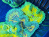 Ultra grade Mini Maxi Carpet Anemone 1-3”