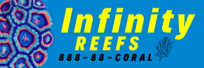 Infinity Reefs