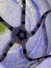 Banded Serpent Starfish