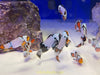 Asst'd Designer Clownfish -Pot Luck- Great Variety!