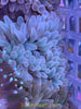 Bubble Tip Anemone (basic)