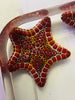West African Biscuit Starfish Ultra Color
