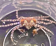 Boxer Crab