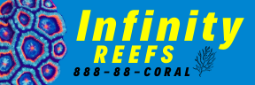 Infinity Reefs 